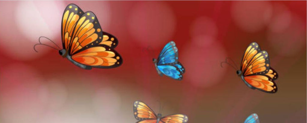 Why do viceroy butterflies copy monarch butterflies?