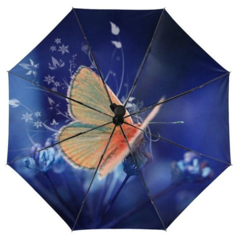 anthocaris butterfly umbrella