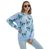 blue butterfly sweater design