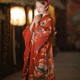 Traditional Butterfly Kimono cosplay
