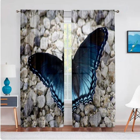 morpho butterfly curtains