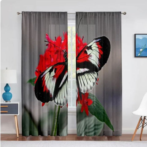 shoemaker butterfly curtains