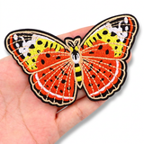 Butterfly Embroidery Iron-On Patches