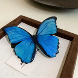 large Dark Blue Fairycore Butterfly Hair Clip