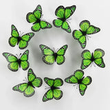 GREEN Monarch Butterfly 3D Wall Decor Stickers