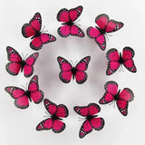 ROSE RED Monarch Butterfly 3D Wall Decor Stickers
