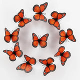 Monarch Butterfly 3D Wall Decor Stickers